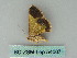  ( - BC ZSM Lep 54007)  @12 [ ] CreativeCommons - Attribution Non-Commercial Share-Alike (2011) Axel Hausmann/Bavarian State Collection of Zoology (ZSM) SNSB, Zoologische Staatssammlung Muenchen
