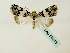  ( - BC ZSM Lep 58415)  @12 [ ] CreativeCommons - Attribution Non-Commercial Share-Alike (2011) Axel Hausmann/Bavarian State Collection of Zoology (ZSM) SNSB, Zoologische Staatssammlung Muenchen