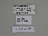  ( - SE MNC Lep 00855)  @12 [ ] Copyright (2011) Sven Erlacher Museum of Natural History Chemnitz