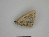  ( - SE MNC Lep 00973)  @12 [ ] Copyright (2011) Sven Erlacher Museum of Natural History Chemnitz