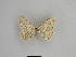  ( - SE MNC Lep 01034)  @11 [ ] Copyright (2011) Sven Erlacher Museum of Natural History Chemnitz