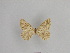  ( - SE MNC Lep 01058)  @11 [ ] Copyright (2011) Sven Erlacher Museum of Natural History Chemnitz