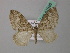  ( - BC ZSM Lep 41928)  @13 [ ] CreativeCommons - Attribution Non-Commercial Share-Alike (2011) Axel Hausmann/Bavarian State Collection of Zoology (ZSM) SNSB, Zoologische Staatssammlung Muenchen