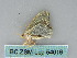  ( - BC ZSM Lep 54016)  @12 [ ] CreativeCommons - Attribution Non-Commercial Share-Alike (2011) Axel Hausmann/Bavarian State Collection of Zoology (ZSM) SNSB, Zoologische Staatssammlung Muenchen