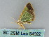  ( - BC ZSM Lep 54022)  @12 [ ] CreativeCommons - Attribution Non-Commercial Share-Alike (2011) Axel Hausmann/Bavarian State Collection of Zoology (ZSM) SNSB, Zoologische Staatssammlung Muenchen