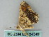  ( - BC ZSM Lep 54049)  @13 [ ] CreativeCommons - Attribution Non-Commercial Share-Alike (2011) Axel Hausmann/Bavarian State Collection of Zoology (ZSM) SNSB, Zoologische Staatssammlung Muenchen