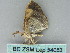  ( - BC ZSM Lep 54053)  @12 [ ] CreativeCommons - Attribution Non-Commercial Share-Alike (2011) Axel Hausmann/Bavarian State Collection of Zoology (ZSM) SNSB, Zoologische Staatssammlung Muenchen