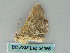  ( - BC ZSM Lep 54056)  @12 [ ] CreativeCommons - Attribution Non-Commercial Share-Alike (2011) Axel Hausmann/Bavarian State Collection of Zoology (ZSM) SNSB, Zoologische Staatssammlung Muenchen