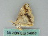  ( - BC ZSM Lep 54068)  @12 [ ] CreativeCommons - Attribution Non-Commercial Share-Alike (2011) Axel Hausmann/Bavarian State Collection of Zoology (ZSM) SNSB, Zoologische Staatssammlung Muenchen