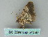  ( - BC ZSM Lep 54086)  @12 [ ] CreativeCommons - Attribution Non-Commercial Share-Alike (2011) Axel Hausmann/Bavarian State Collection of Zoology (ZSM) SNSB, Zoologische Staatssammlung Muenchen