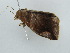  ( - BC ZSM Lep 55740)  @12 [ ] CreativeCommons - Attribution Non-Commercial Share-Alike (2011) Axel Hausmann/Bavarian State Collection of Zoology (ZSM) SNSB, Zoologische Staatssammlung Muenchen