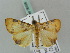  ( - BC ZSM Lep 56426)  @13 [ ] CreativeCommons - Attribution Non-Commercial Share-Alike (2011) Axel Hausmann/Bavarian State Collection of Zoology (ZSM) SNSB, Zoologische Staatssammlung Muenchen