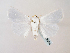  (Chasmina vestaeGB03Zm - BC ZSM Lep 58306)  @14 [ ] CreativeCommons - Attribution Non-Commercial Share-Alike (2011) Axel Hausmann/Bavarian State Collection of Zoology (ZSM) SNSB, Zoologische Staatssammlung Muenchen