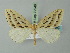  ( - BC ZSM Lep 72948)  @11 [ ] CreativeCommons - Attribution Non-Commercial Share-Alike (2013) Axel Hausmann/Bavarian State Collection of Zoology (ZSM) SNSB, Zoologische Staatssammlung Muenchen