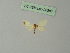  ( - BC ZSM Lep 20286)  @13 [ ] CreativeCommons - Attribution Non-Commercial Share-Alike (2012) Axel Hausmann/Bavarian State Collection of Zoology (ZSM) SNSB, Zoologische Staatssammlung Muenchen