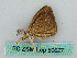  ( - BC ZSM Lep 50627)  @12 [ ] CreativeCommons - Attribution Non-Commercial Share-Alike (2012) Axel Hausmann/Bavarian State Collection of Zoology (ZSM) SNSB, Zoologische Staatssammlung Muenchen