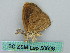  ( - BC ZSM Lep 50628)  @12 [ ] CreativeCommons - Attribution Non-Commercial Share-Alike (2012) Axel Hausmann/Bavarian State Collection of Zoology (ZSM) SNSB, Zoologische Staatssammlung Muenchen