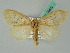  ( - BC ZSM Lep 50632)  @12 [ ] CreativeCommons - Attribution Non-Commercial Share-Alike (2012) Axel Hausmann/Bavarian State Collection of Zoology (ZSM) SNSB, Zoologische Staatssammlung Muenchen