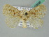  (Altha nix - BC ZSM Lep 50658)  @14 [ ] CreativeCommons - Attribution Non-Commercial Share-Alike (2012) Axel Hausmann/Bavarian State Collection of Zoology (ZSM) SNSB, Zoologische Staatssammlung Muenchen