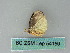  ( - BC ZSM Lep 54159)  @12 [ ] CreativeCommons - Attribution Non-Commercial Share-Alike (2012) Axel Hausmann/Bavarian State Collection of Zoology (ZSM) SNSB, Zoologische Staatssammlung Muenchen