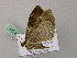  ( - BC ZSM Lep 57328)  @11 [ ] CreativeCommons - Attribution Non-Commercial Share-Alike (2012) Axel Hausmann/Bavarian State Collection of Zoology (ZSM) SNSB, Zoologische Staatssammlung Muenchen