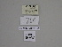  ( - SE MNC Lep 01195)  @11 [ ] Copyright (2012) Sven Erlacher Museum Naturkunde Chemnitz
