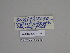  ( - SE MNC Lep 01266)  @11 [ ] Copyright (2012) Sven Erlacher Museum Naturkunde Chemnitz