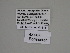  ( - SE MNC Lep 01318)  @11 [ ] Copyright (2012) Sven Erlacher Museum Naturkunde Chemnitz