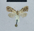  ( - BC ZSM Lep 48380)  @12 [ ] CreativeCommons - Attribution Non-Commercial Share-Alike (2012) Axel Hausmann/Bavarian State Collection of Zoology (ZSM) SNSB, Zoologische Staatssammlung Muenchen
