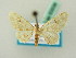  (Eupithecia AH02Tn - BC ZSM Lep 63536)  @11 [ ] CreativeCommons - Attribution Non-Commercial Share-Alike (2012) Axel Hausmann/Bavarian State Collection of Zoology (ZSM) SNSB, Zoologische Staatssammlung Muenchen