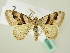  (Xanthorhoe designata - BC ZSM Lep 63569)  @13 [ ] CreativeCommons - Attribution Non-Commercial Share-Alike (2012) Axel Hausmann/Bavarian State Collection of Zoology (ZSM) SNSB, Zoologische Staatssammlung Muenchen
