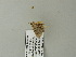  ( - BC ZSM Lep 64607)  @12 [ ] CreativeCommons - Attribution Non-Commercial Share-Alike (2012) Axel Hausmann/Bavarian State Collection of Zoology (ZSM) SNSB, Zoologische Staatssammlung Muenchen