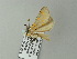  ( - BC ZSM Lep 64633)  @12 [ ] CreativeCommons - Attribution Non-Commercial Share-Alike (2012) Axel Hausmann/Bavarian State Collection of Zoology (ZSM) SNSB, Zoologische Staatssammlung Muenchen