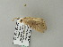  ( - BC ZSM Lep 64662)  @12 [ ] CreativeCommons - Attribution Non-Commercial Share-Alike (2012) Axel Hausmann/Bavarian State Collection of Zoology (ZSM) SNSB, Zoologische Staatssammlung Muenchen