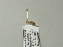  ( - BC ZSM Lep 64971)  @12 [ ] CreativeCommons - Attribution Non-Commercial Share-Alike (2012) Axel Hausmann/Bavarian State Collection of Zoology (ZSM) SNSB, Zoologische Staatssammlung Muenchen