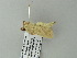 (Bombycopsis pallida - BC ZSM Lep 65020)  @13 [ ] CreativeCommons - Attribution Non-Commercial Share-Alike (2012) Axel Hausmann/Bavarian State Collection of Zoology (ZSM) SNSB, Zoologische Staatssammlung Muenchen