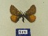  (Lythria sanguinaria - BMB Lep 00757)  @13 [ ] Copyright (2012) Axel Hausmann/Bavarian State Collection of Zoology (ZSM) SNSB, Zoologische Staatssammlung Muenchen