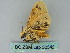  ( - BC ZSM Lep 52546)  @12 [ ] CreativeCommons - Attribution Non-Commercial Share-Alike (2012) Axel Hausmann/Bavarian State Collection of Zoology (ZSM) SNSB, Zoologische Staatssammlung Muenchen