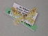  ( - BC ZSM Lep 54447)  @11 [ ] CreativeCommons - Attribution Non-Commercial Share-Alike (2012) Axel Hausmann/Bavarian State Collection of Zoology (ZSM) SNSB, Zoologische Staatssammlung Muenchen