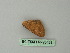  ( - BC ZSM Lep 20488)  @12 [ ] CreativeCommons - Attribution Non-Commercial Share-Alike (2012) Axel Hausmann/Bavarian State Collection of Zoology (ZSM) SNSB, Zoologische Staatssammlung Muenchen