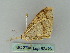  ( - BC ZSM Lep 52426)  @12 [ ] CreativeCommons - Attribution Non-Commercial Share-Alike (2012) Axel Hausmann/Bavarian State Collection of Zoology (ZSM) SNSB, Zoologische Staatssammlung Muenchen