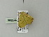  ( - BC ZSM Lep 62087)  @12 [ ] CreativeCommons - Attribution Non-Commercial Share-Alike (2012) Axel Hausmann/Bavarian State Collection of Zoology (ZSM) SNSB, Zoologische Staatssammlung Muenchen
