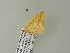  ( - BC ZSM Lep 62175)  @12 [ ] CreativeCommons - Attribution Non-Commercial Share-Alike (2012) Axel Hausmann/Bavarian State Collection of Zoology (ZSM) SNSB, Zoologische Staatssammlung Muenchen