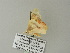  ( - BC ZSM Lep 62224)  @12 [ ] CreativeCommons - Attribution Non-Commercial Share-Alike (2012) Axel Hausmann/Bavarian State Collection of Zoology (ZSM) SNSB, Zoologische Staatssammlung Muenchen