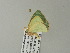 ( - BC ZSM Lep 62257)  @12 [ ] CreativeCommons - Attribution Non-Commercial Share-Alike (2012) Axel Hausmann/Bavarian State Collection of Zoology (ZSM) SNSB, Zoologische Staatssammlung Muenchen
