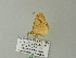  ( - BC ZSM Lep 62327)  @12 [ ] CreativeCommons - Attribution Non-Commercial Share-Alike (2012) Axel Hausmann/Bavarian State Collection of Zoology (ZSM) SNSB, Zoologische Staatssammlung Muenchen