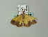  ( - BC ZSM Lep 62336)  @13 [ ] CreativeCommons - Attribution Non-Commercial Share-Alike (2012) Axel Hausmann/Bavarian State Collection of Zoology (ZSM) SNSB, Zoologische Staatssammlung Muenchen