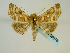  ( - BC ZSM Lep 58678)  @14 [ ] CreativeCommons - Attribution Non-Commercial Share-Alike (2012) Axel Hausmann/Bavarian State Collection of Zoology (ZSM) SNSB, Zoologische Staatssammlung Muenchen