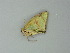  ( - BC ZSM Lep 60712)  @12 [ ] CreativeCommons - Attribution Non-Commercial Share-Alike (2012) Axel Hausmann/Bavarian State Collection of Zoology (ZSM) SNSB, Zoologische Staatssammlung Muenchen