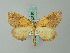  ( - BC ZSM Lep 62730)  @13 [ ] CreativeCommons - Attribution Non-Commercial Share-Alike (2012) Axel Hausmann/Bavarian State Collection of Zoology (ZSM) SNSB, Zoologische Staatssammlung Muenchen